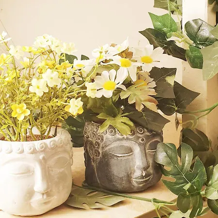 Hébergement de vacances La Maison De Indépendante My Bastide Classée Villefranche-de-Rouergue